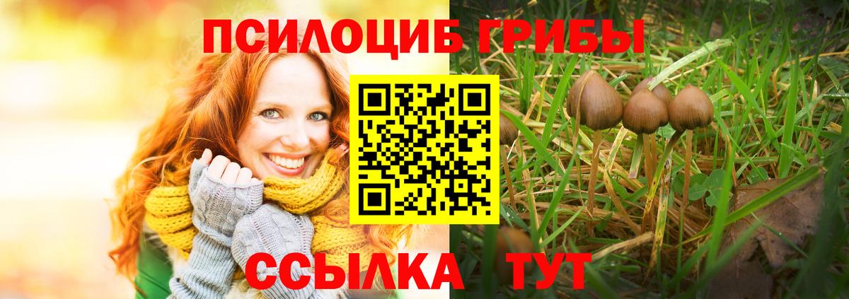 Псилоцибиновые грибы Psilocybe  Вход с VPN  Сосновоборск 