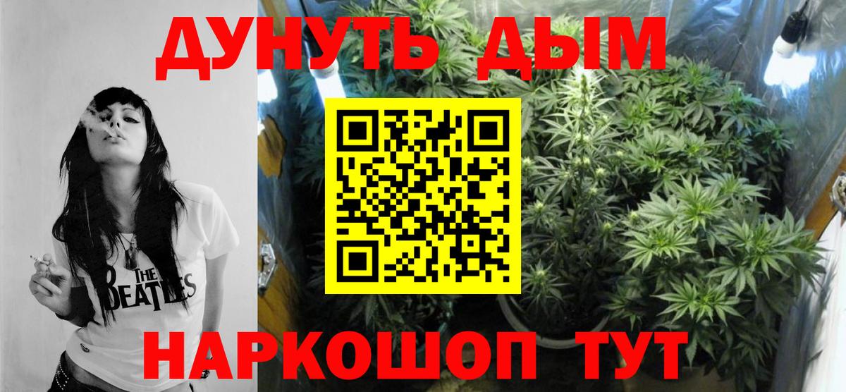 Бошки марихуана тримм  Шишки марихуана Amnesia  Сосновоборск  Каннабис SATIVA & INDICA  МАРИХУАНА марихуана  Вход с VPN 